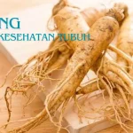 Keajaiban Ginseng: Rahasia Kesehatan Tubuh Anda!