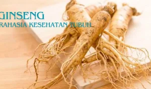 Keajaiban Ginseng: Rahasia Kesehatan Tubuh Anda!