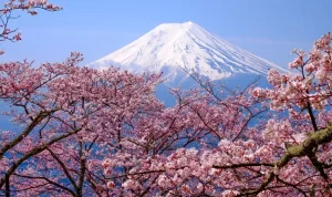 Wisata Alam Mancanegara di Gunung Fuji, Jepang