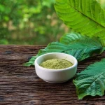 Apa yang Dimaksud dengan Daun Kratom Ini Penjelasannya!