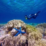 Menikmati Keindahan Bawah Laut di Wisata Pulau Hoga