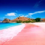 Surga Tersembunyi di Pulau Komodo Pantai Pink