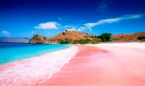 Surga Tersembunyi di Pulau Komodo Pantai Pink