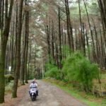 Wisata Sejuk