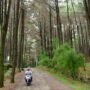 Wisata Sejuk