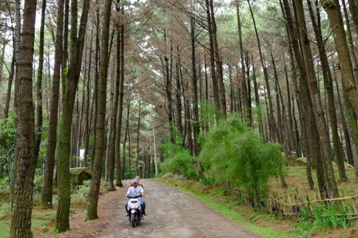 Wisata Sejuk
